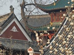 -长春观