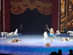 -珠海横琴长隆《卡卡虎奇遇记》