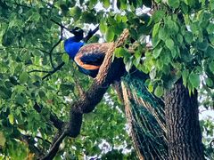 -J Create城市露营咖啡·简餐·宠物(上海动物园店)