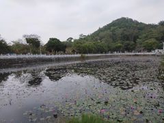 -红山村