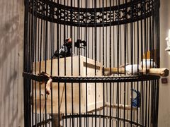 -清真·京华源铜锅涮肉(丰庆店)