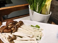 -百年果林椰子鸡(宝安总店)