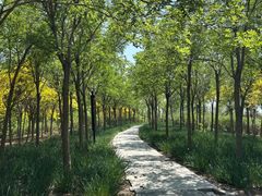 -天津东丽湖风景区