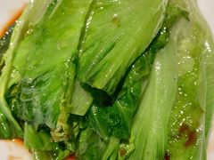 -金掌勺东北菜(格兰晴天店)