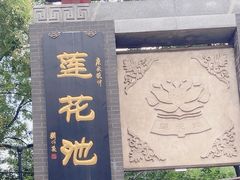 -莲花池公园
