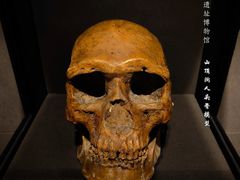 -北京周口店北京人遗址博物馆
