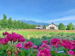 -富田农场