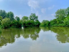 -溱湖国家湿地公园