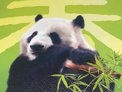 -眉州东坡(望京店)