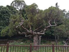 -草庵摩尼教遗址公园