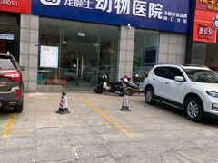 -宠颐生动物医院·猫科·心脏科(海口分院)