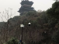 -杭州半山国家森林公园