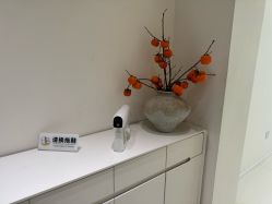 -安那般那皮肤年轻化ANAPANA