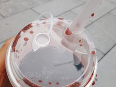 -1828王老吉·草本新茶(珠江新城地铁站店)