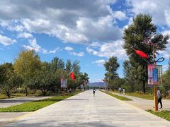 -野鸭湖国家湿地公园