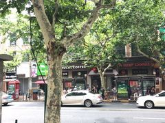 -TPLUS茶家(淮海店)