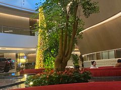 -臻萃轩中餐厅(国家会展中心店)