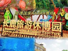 -长鹿旅游休博园