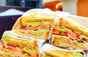 Avocado Tuna Sandwich