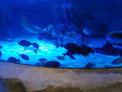 -沈阳海洋探索中心