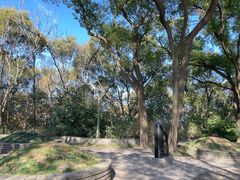 -上海佘山国家森林公园天马山园