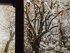 -中国湿地博物馆