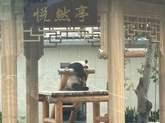 -无锡动物园·太湖欢乐园