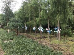 -同里国家湿地公园