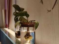 -红小满休闲餐厅(十全街店)