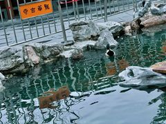 -龙华寺
