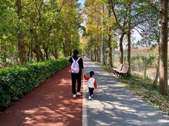 -上海长兴岛郊野公园