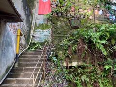-悟饮门市景店
