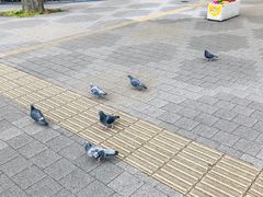 -东京希尔顿酒店