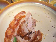 -青年公社烤鸭(蜀山万象汇店)