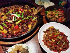 -老板恋上鱼(高新万达店)