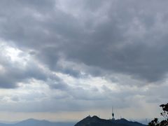 -梧桐山风景名胜区