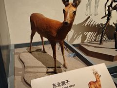 -大庆市博物馆