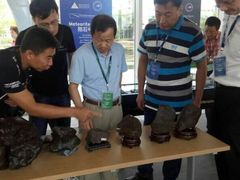 -志强陨石馆(双季花艺店)