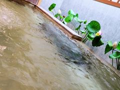 -汤泉良子.足疗按摩.SPA(中关村店)