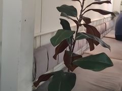 -ADO KAFE(大学城店)