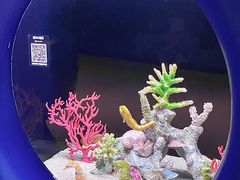 -欢乐海岸海洋奇梦馆
