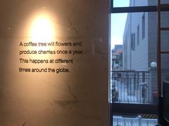 -星巴克(汾阳路店)