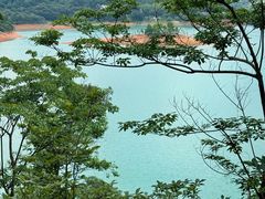 -广州市流溪河国家森林公园