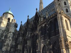 -斯蒂芬主教座堂(Stephansdom)