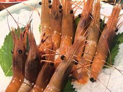 -Mr.Fish鱼鲜生海鲜放题(高德置地冬广场店)
