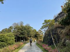 -梧桐山风景名胜区