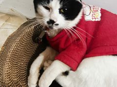 -三代人传统冒菜