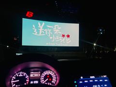 -枫花园汽车电影院(朝阳公园店)