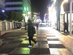-宝健路步行街(Pedestrian Shopping Street)