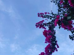 -广东天露山旅游度假区